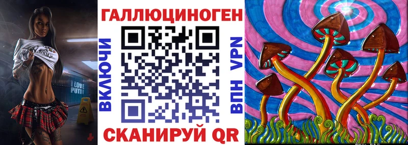 где купить наркоту  кракен зеркало  Псилоцибиновые грибы мухоморы  Курлово 
