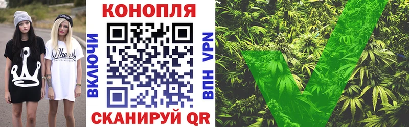 Конопля AK-47  Курлово 